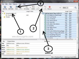 musicbrainz picard unmatched files