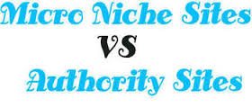 Autority Blog vs. Niche Blog