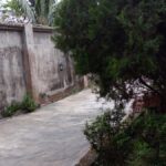 sample picture taken with tecno camon c8 camera