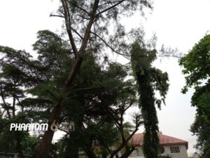 img_20161013_180509