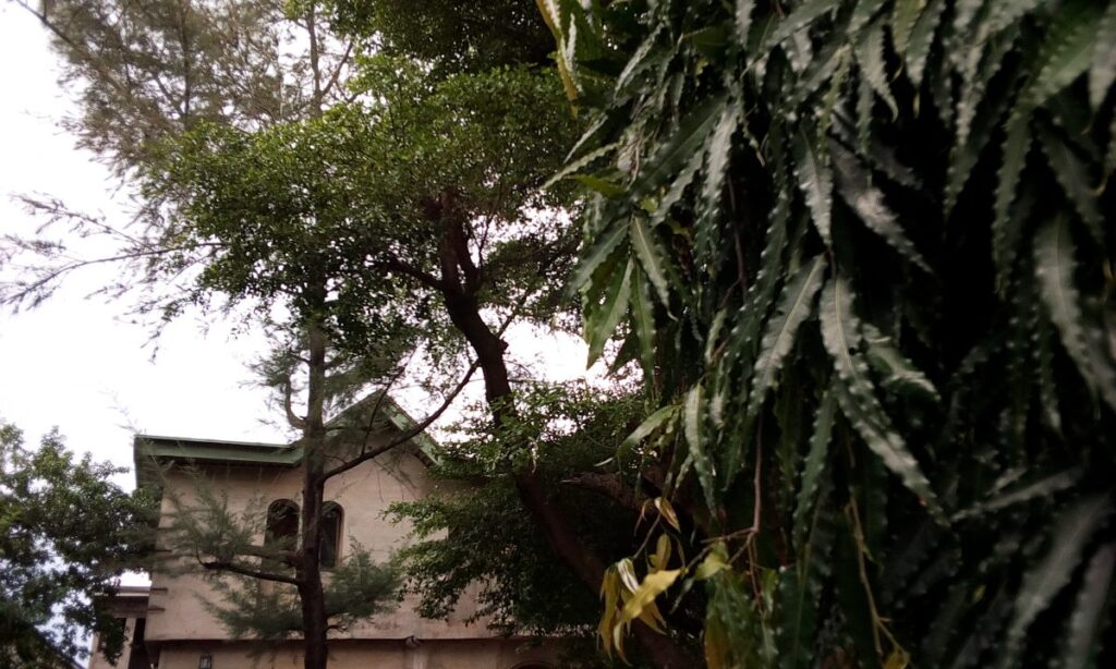 tecno droipad 7d camera sample